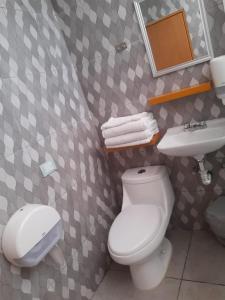 ein Bad mit einem WC und einem Waschbecken in der Unterkunft Estudio en casa Fatima para 2 personas in Guadalajara