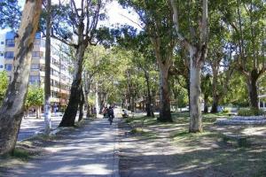 a person walking down a path in a park with trees at Casa de Praia Extremo Sul in Rio Grande