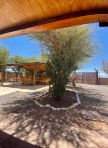 un parc avec un arbre et un abri de pique-nique dans l'établissement Hostal el rancho, à San Pedro de Atacama