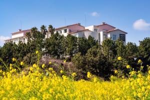 a house on a hill with a field of yellow flowers at Kensington Resort Seogwipo in Seogwipo +60 photos