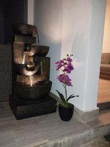 a flower in a pot next to a water fountain at BUNGALOWS CASAMAR in Tumbes
