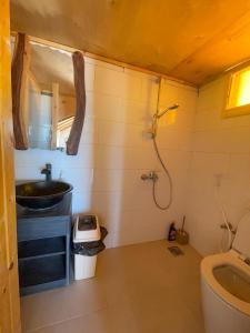 a bathroom with a sink and a shower and a toilet at Live the bedouinlife in Nuweiba