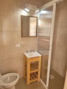 een badkamer met een douche, een wastafel en een toilet bij Departamento céntrico in Tres Arroyos