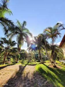 un grupo de palmeras en un parque en Nosso Apê Enseada: Casa na Represa João Penido com Wifi, Piscina e Churrasqueira, en Juiz de Fora