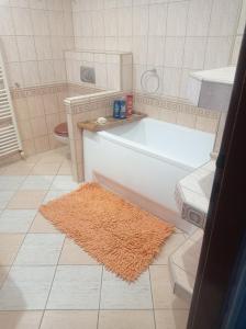 Koupelna v ubytování Apartmán Eva