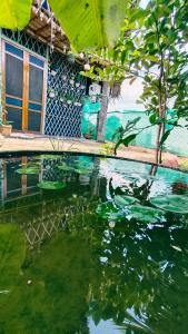 a pool of water in front of a house at Open house in Auroville +11 photos