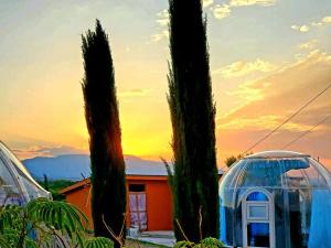 un par de palmeras y una casa con una cúpula en Stargazing Retreats, en Camp Verde