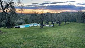 einen Pool auf einem Rasenplatz mit Bäumen in der Unterkunft Villa Belfiore in Lastra a Signa