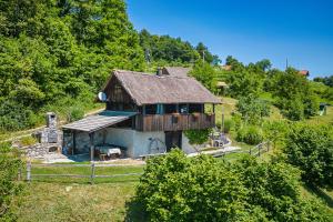 una pequeña casa con techo en una colina en Vineyard Cottages Skatlar - Happy Rentals en Otočec