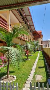 une rangée de palmiers devant un bâtiment dans l'établissement Hospedaje El Manantial, à Oxapampa