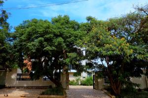 a group of trees in front of a building at Kigali Homes Villa in Kigali