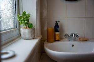a bathroom sink with a bottle of soap and a plant at Stay with airhgt @ Luxe Apartment in Central Harrogate in Harrogate