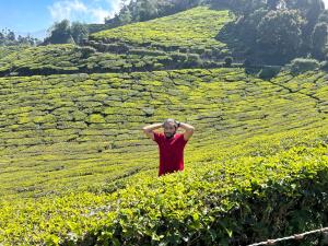 a man standing in a field of tea plantations at Munnar Tent Camping in Munnar