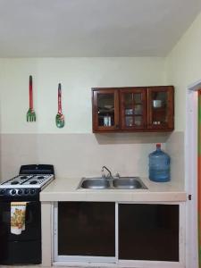 ボカ・チカにあるPremium Pool Houseのキッチン(シンク、コンロ、キャビネット付)