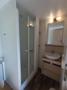 a bathroom with a shower and a sink at Hillbilly cabin, 2 studios in nature with terrace and parking in Skiathos