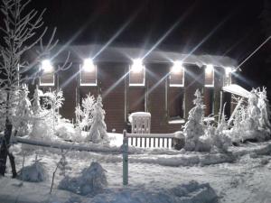 uma casa coberta de neve à noite com luzes em Klidné ubytování v Orlických horách em Orličky