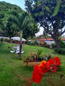 a yard with a palm tree and some flowers at EusebioCity in Eusébio