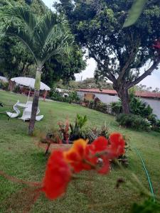 a garden with red flowers in the grass at EusebioCity in Eusébio