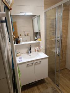 a bathroom with a white sink and a shower at House Apartma Čebela with jacuzzi in Gozd Martuljek