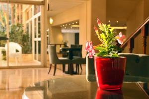 eine rote Vase mit Blumen auf einem Tisch in der Unterkunft Cosmopolitan Hotel in Beirut