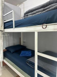 Bunk bed o mga bunk bed sa kuwarto sa Sweed Dee Seaview Hostel