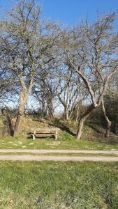 un banc en bois assis dans l'herbe près des arbres dans l'établissement Ferienwohnung im Zanderhaus, à Sabel