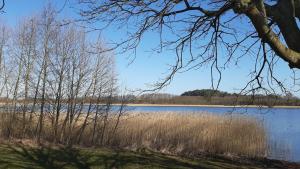 vistas a un lago con césped alto y árboles en Ferienwohnung im Zanderhaus, en Sabel