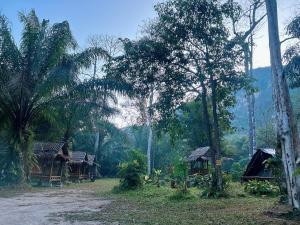 a group of houses in a forest with trees at Khaosok August Freedom Camp in Khao Sok