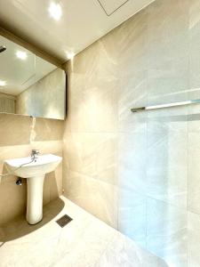 La salle de bains est pourvue d'un lavabo et d'une douche. dans l'établissement Namsan Forest in Myeongdong, à Séoul