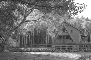 a black and white photo of a house in the woods at Hotel Wyrwidąb in Chodzież