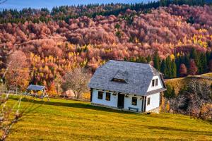 a small white house on a green field with a mountain at Casuta Bunicii, Bran in Bran