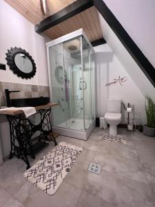a bathroom with a glass shower and a toilet at Cabane A-frame CeziAde Tihuta in Piatra Fantanele