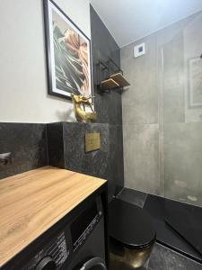 Een badkamer bij Apartament Monte Ślęża & Spa