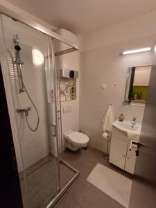 a bathroom with a shower and a toilet and a sink at Harmónia Apartman Balatonföldvár in Balatonföldvár +16 photos