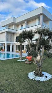 a building with a tree in front of a pool at Villa safkan in Silivri