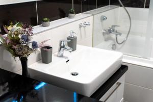 Koupelna v ubytování BNB New Beautiful Apartment in the Center of Ostrava with option Garage Parking
