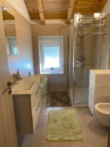 a bathroom with a sink and a shower and a toilet at House Carla Belavici in Hreljići +49 photos
