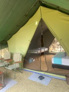 a green tent with a bed and chairs in it at Basecamp - Yala in Yala