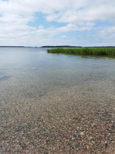 a large body of water with rocks and grass at Topsala MidIsland in Houtskari