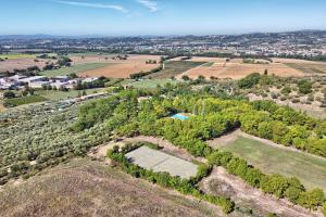 an aerial view of a field and trees at La Collina dei Ciliegi in Brufa