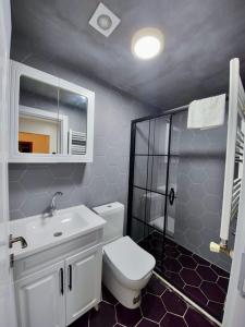y baño con aseo, lavabo y ducha. en Tiny 1, en Estambul