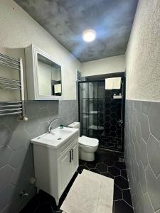 uma casa de banho com um WC, um lavatório e um chuveiro em Tiny 1 em Istambul