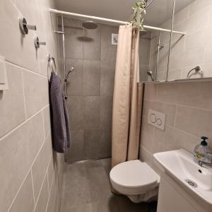 a bathroom with a shower and a toilet and a sink at Helgimagri Apartment in Akureyri