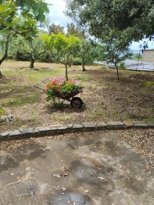 a wheelbarrow filled with flowers in a park at Villa Kenia Flora in Maratea