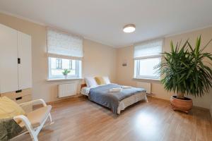 1 dormitorio con 1 cama y una maceta en Quiet and spacious oasis in Riga center, Parking available, en Riga