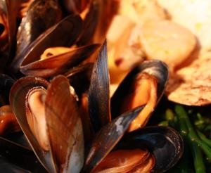 a pile of mussels and other ingrediated ingrediatediatediatediatediatediated at Oyster Inn Connel in Oban