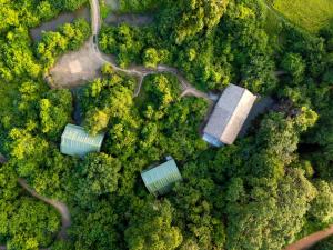 an overhead view of a forest with trees and a house at Aranya Trails Wilpattu in Pahala Maragahawewa