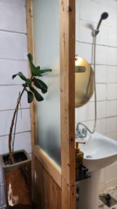 - une salle de bains avec une plante en pot à côté d'un lavabo dans l'établissement Today Jeju Yongdam, à Jeju