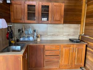 una cocina con armarios de madera y fregadero en Diwan Apartment & Chalet, en Colombo