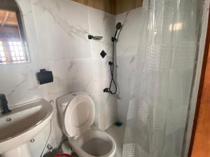 a bathroom with a shower and a toilet and a sink at Diwan Apartment & Chalet in Colombo